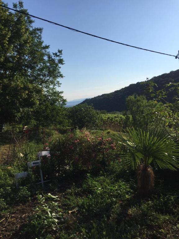 Apartment Cimbora, Salara Farmhouse Koper Bagian luar foto