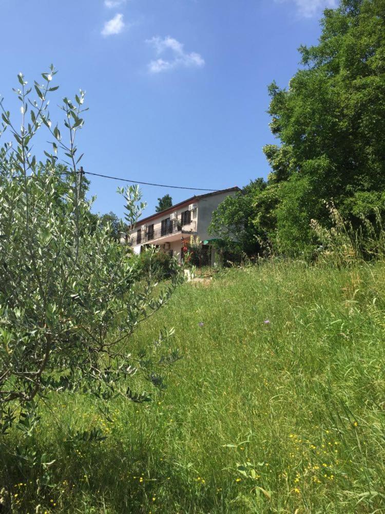 Apartment Cimbora, Salara Farmhouse Koper Bagian luar foto