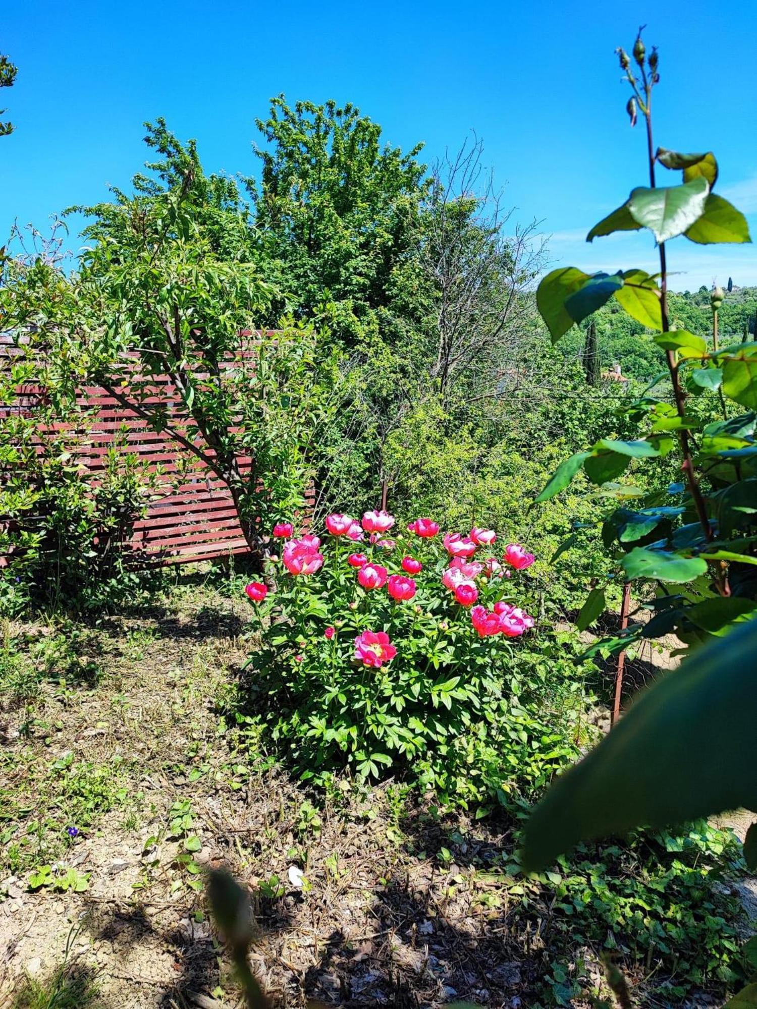 Apartment Cimbora, Salara Farmhouse Koper Bagian luar foto