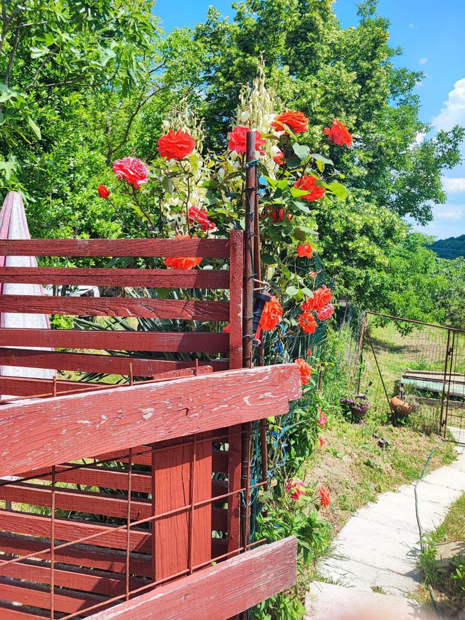 Apartment Cimbora, Salara Farmhouse Koper Bagian luar foto